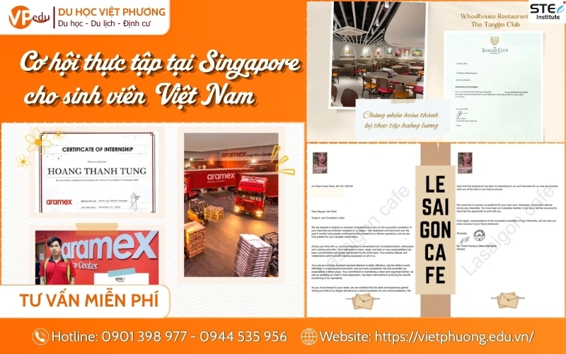 Chương trình Thực tập Hưởng lương (6+6) tại STEi Singapore