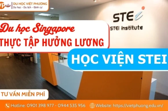 Học viện STEi Singapore: Chương trình thực tập hưởng lương