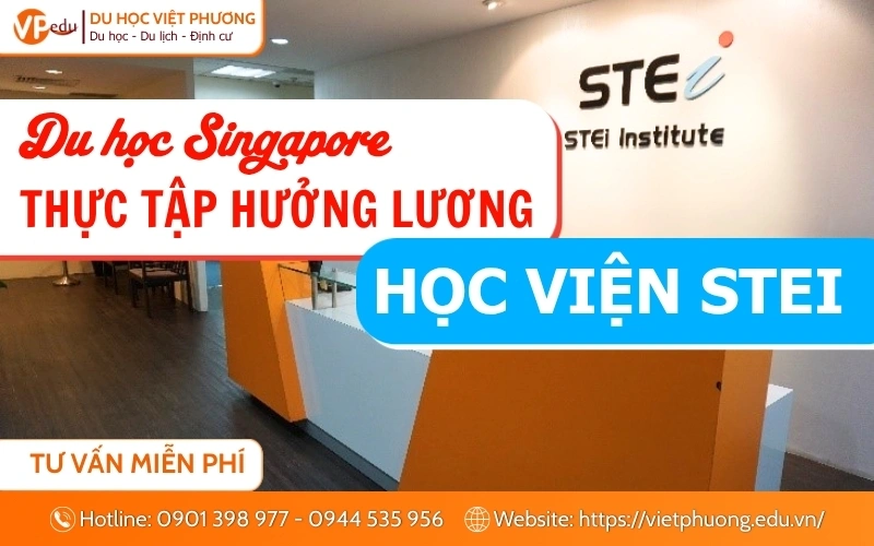 Học viện STEi Singapore: Chương trình thực tập hưởng lương