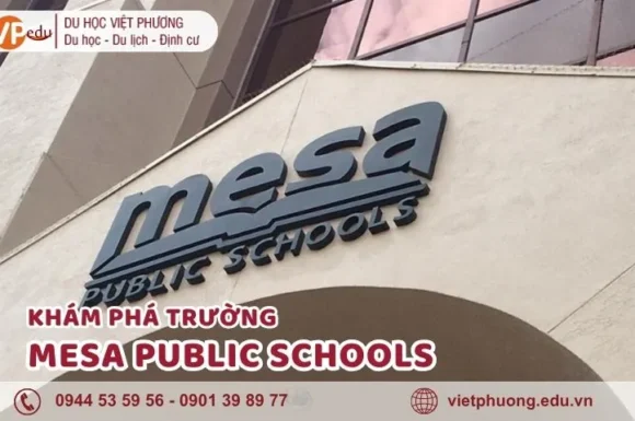 Tổng quan về trường Mesa Public Schools – Mỹ