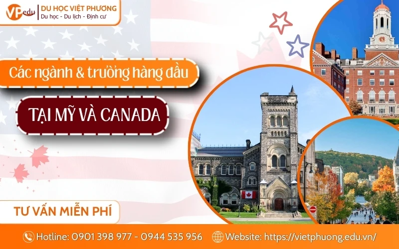 Các ngành học phổ biến và xếp hạng đại học tại mỹ và canada