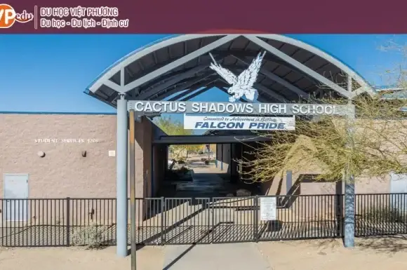 Cactus Shadows High School – Điểm đến giáo dục lý tưởng tại Arizona