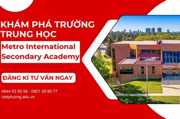 Trường Metro International Secondary Academy (MISA)
