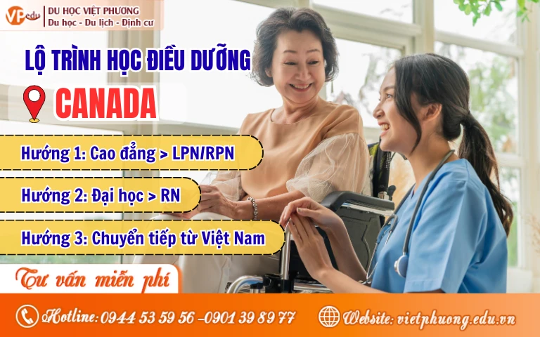 Lộ trình du học Canada ngành điều dưỡng