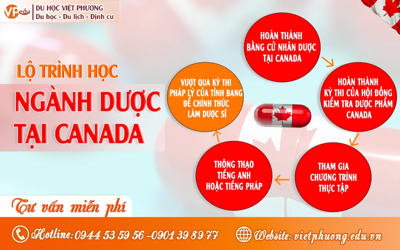 Lộ trình học ngành dược tại Canada