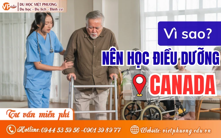 Vì sao nên học điều dưỡng ở Canada? Cơ hội định cư như thế nào?