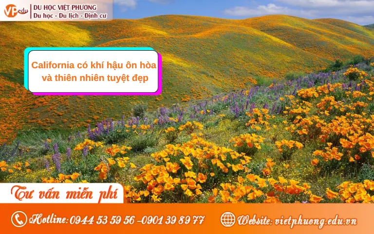 Khí hậu ôn hòa và thiên nhiên tuyệt đẹp tại California