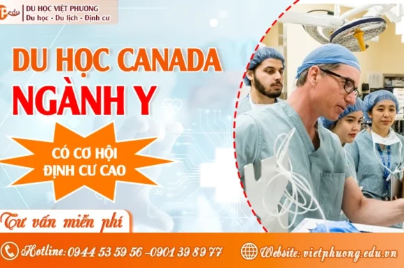Du học Canada ngành Y: Lộ trình trở thành Bác sĩ, Điều dưỡng