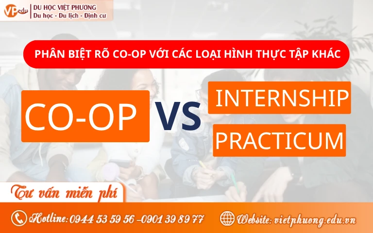 Phân biệt rõ Co-op với các loại hình thực tập khác