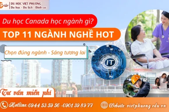 Du học Canada nên học ngành gì? Top 11 ngành nghề HOT