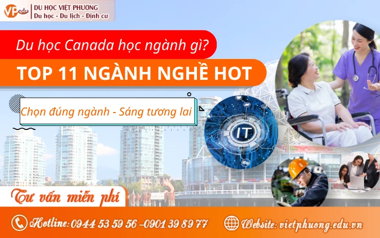 Du học Canada nên học ngành gì? Top 11 ngành nghề HOT