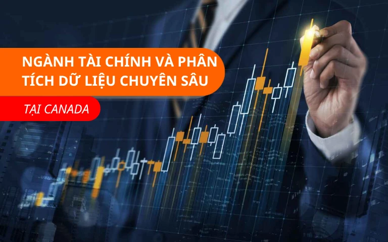 Ngành tài chính và phân tích dữ liệu chuyên sâu