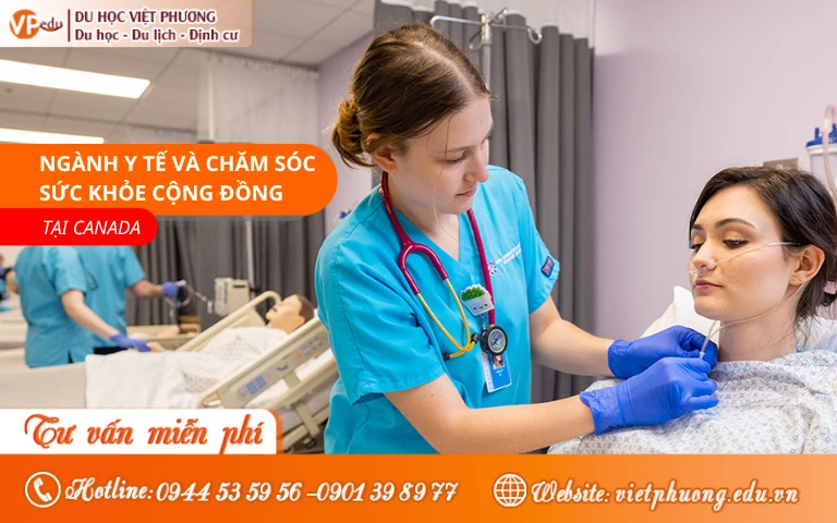 Du học Canada nên học ngành nào, chọn ngay ngành y tế