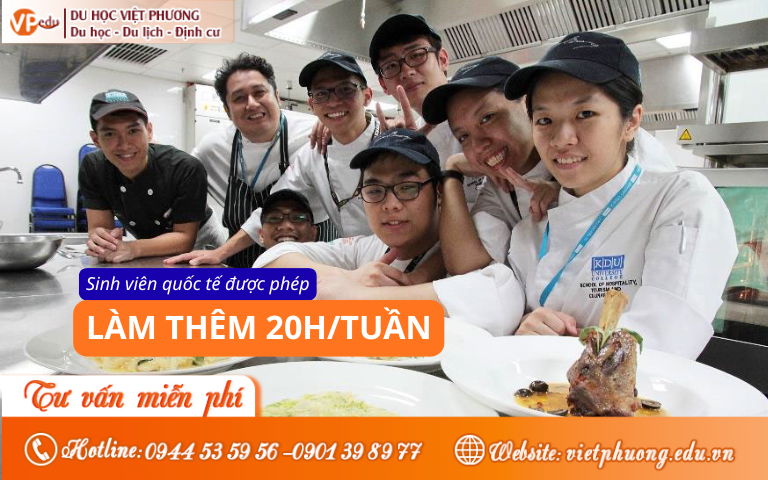 Sinh viên quốc tế  tại Malaysia được phép làm thêm tối đa 20 giờ/tuần