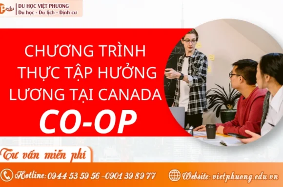 [2026] Chương trình thực tập hưởng lương Canada