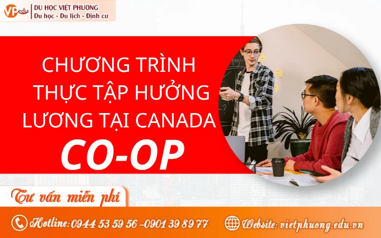 [2026] Chương trình thực tập hưởng lương Canada