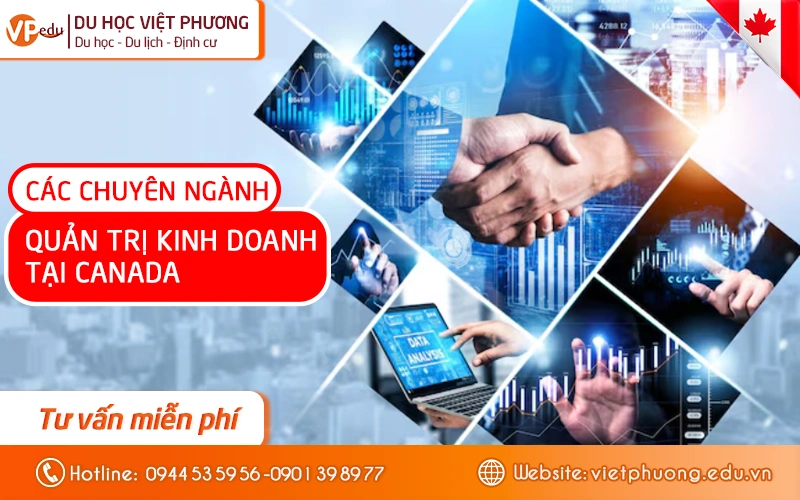 Du học Canada ngành quản trị kinh doanh có những chuyên ngành nào?