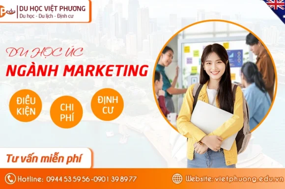 Du học Úc ngành Marketing: Đón Đầu Xu Hướng 2026