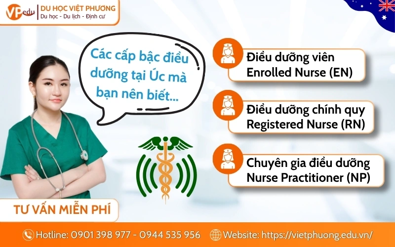 Các cấp bậc điều dưỡng tại Úc mà bạn nên biết