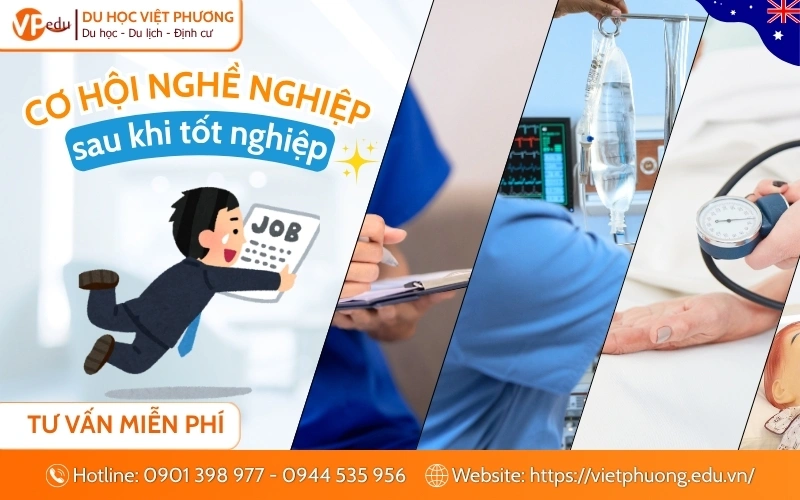 Cơ hội việc làm và làm thường trú nhân sau khi học điều dưỡng tại Úc
