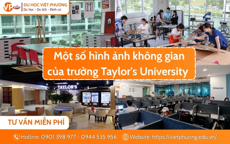 Du học Malaysia tại Taylor's University cùng Du học Việt Phương