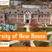 University of New Haven
