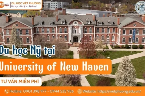 Du học Mỹ tại University of New Haven: Mạnh Kỹ thuật & Kinh doanh