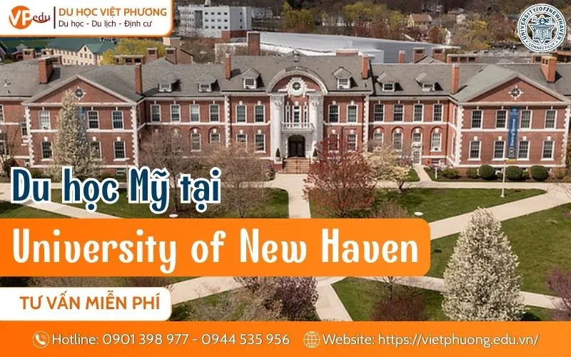 Du học Mỹ tại University of New Haven: Mạnh Kỹ thuật & Kinh doanh