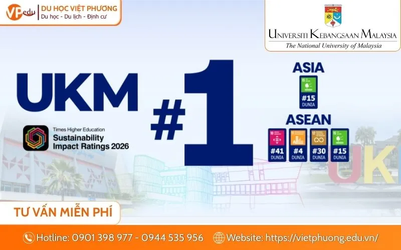 ukm ranking